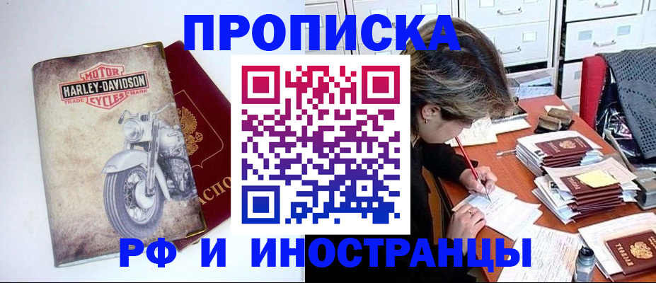 прописка паспорт в Электрогорске