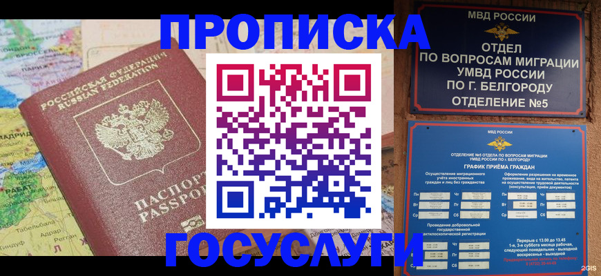 прописка регистрация в Электрогорске